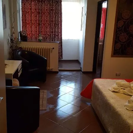 Garsoniera Ioana 公寓 *